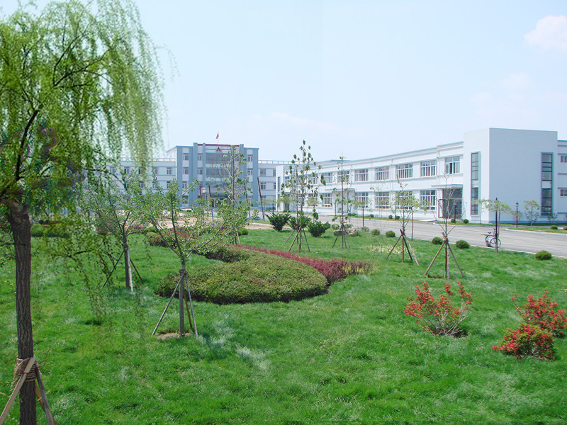 歡樂(lè)奧龍人，激昂青春夢(mèng)